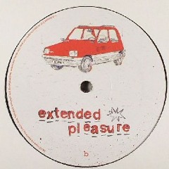 2005 - Extended Pleasure (snippets)