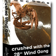 crushed with the Wind Gong 1