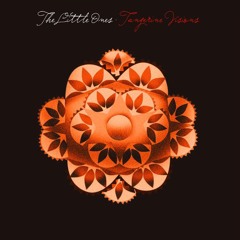 The Little Ones - Tangerine Visions