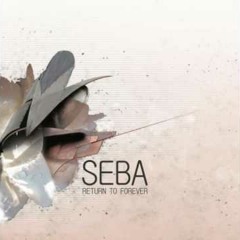 Seba - Painted Sky (Van Xm Remix)