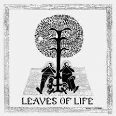 Son Of The Moon, Daughter Of The Sun