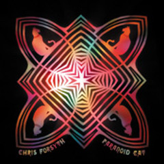 Chris Forsyth - New Pharmacist Boogie (for Jack)