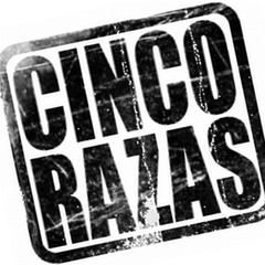 EKAESE - Reynoflow Armada - Reynostyle