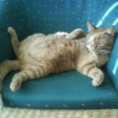 Frankie Goes Hollywood - Relax  (lullaby)