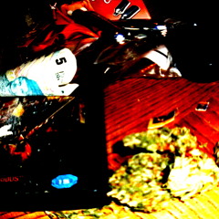 Shadow Skanking Booka Shade