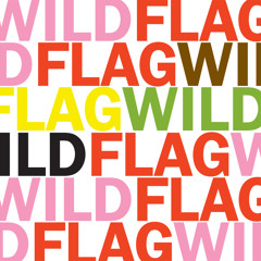 Wild Flag "Glass Tambourine"