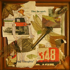 The In-Sect.