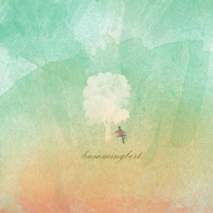 SEA 002 : hummingbert -  Americano