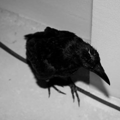 Torreblanca DFNSA rmx