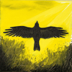 Hangman's Noose/The Lonely Cardinals