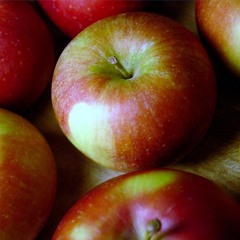 A Grain of Sand and Cider