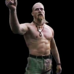 Sourfly-TechnoViking V0.04