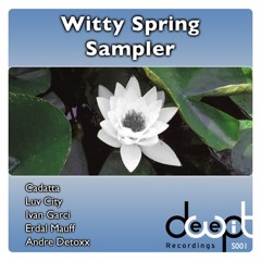 Andre Detoxx - Pianorolka [DeepWit Recordings]