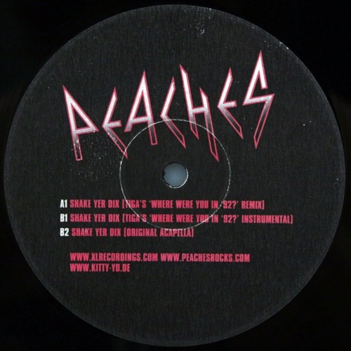 Peaches - Shake Yer Dix (Tiga's Where Were You In 92 Instrumental)