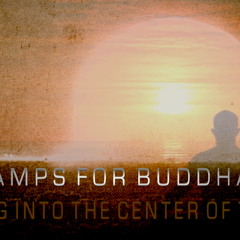 (((Amps for Buddha))) ~  Staring Into The Center Of The Sun