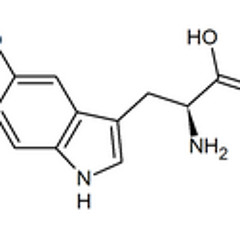 Sleem - He Believed They Could Be Brought Back
