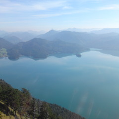 Tom Eales - Pleasure minus Pain