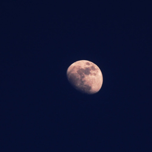 A Can of a Hill of Beans