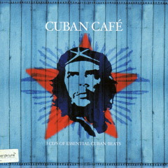 Toda Perez De Traba - Wild Rose (Sweet Mix)