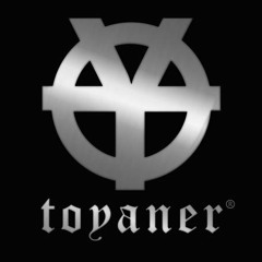 Toyaner-kleine Wirbelfee