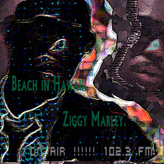 Ziggy Marley- Beach in Hawaii  102.3fm