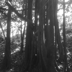 1undread : Blood on Your Roots (Abel Meeropol)