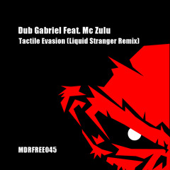 Dub Gabriel Feat. Mc Zulu - Tactile Evasion (Liquid Stranger Remix) // FREE DOWNLOAD