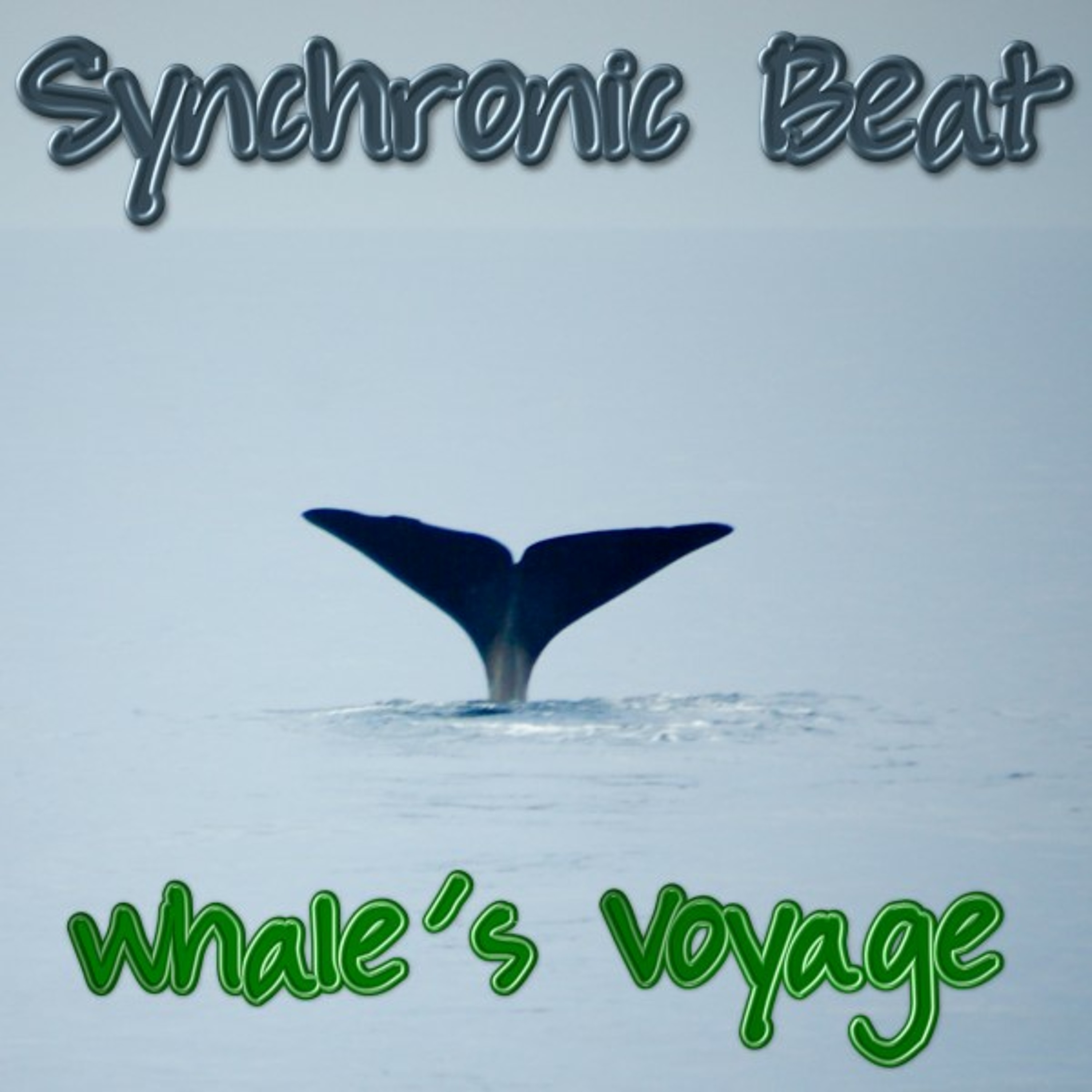 Whale's Voyage