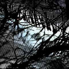 ADOMAS & THE MITTENS - Nothing Will Get In My Way