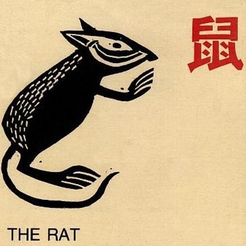 Rat