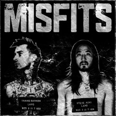 Travis Barker feat. Steve Aoki - Misfits