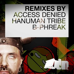 Demolition Disco-Big Mama(Access Denied remix)_Teaser
