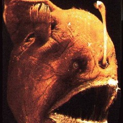 Jackie Ransom- "The Angler"