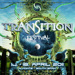 BMSS @ Transition Festival 2011