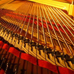 Markus Roser Trio - Mary's Boychild