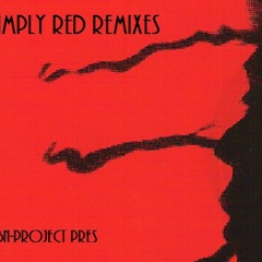 HOLDING BACK THE YEARS [DJ BORBY NORTON PRES. SIMPLY RED - HOLDING ON REMIX]