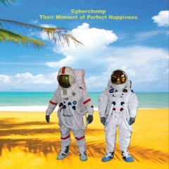 In the Time of Gone (Rough Mix)