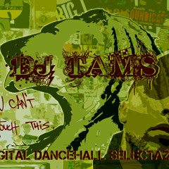 Reggae Digital Mix 80's Stylee by Dj Tams 3  09-10