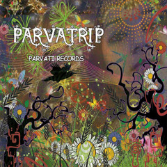 Baba Yaga - Transformer (Parvatrip - Parvati Records - 2010)
