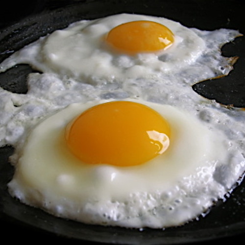Fried Eggs (Parody of Rebecca Black's "Friday")
