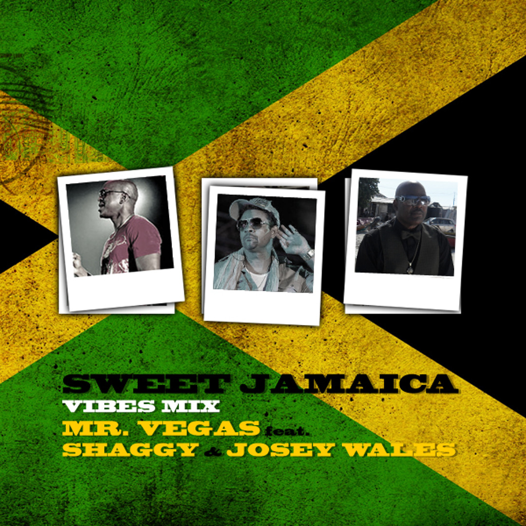 入手困難 希少 Mr. Vegas / Sweet Jamaica Remix 入手困難 希少 Mr. Vegas / Sweet Jamaica Remix レコード