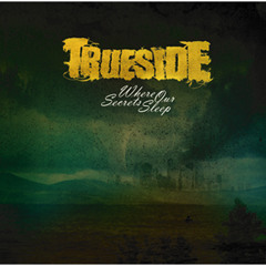 Trueside - Hearts and Other Things That Break
