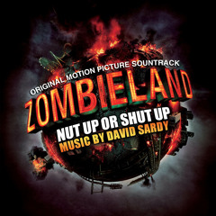 David Sardy "Opening" From Zombieland