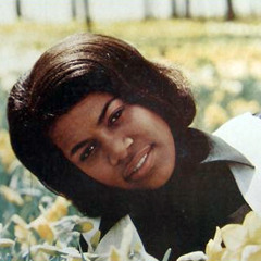 Shake Like Thunder - Sambrose Automobile