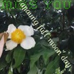 flower of sea