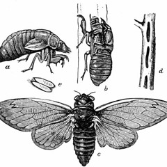 U dont have 2 love everyone / be open minded