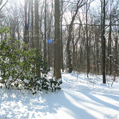 2009-10 雪.星.愛妳