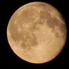 Mother Earth ( song For Japan )