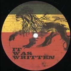 Damian Marley - It was written (Remix by Chasing Shadows)