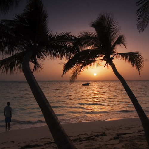 Sun In My Morning (The Starkiller's I Love The Smell Of Balearic Piano Disco In The Morning Remix)